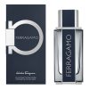 Salvatore Ferragamo Ferragamo Pour Homme EDT 100ml